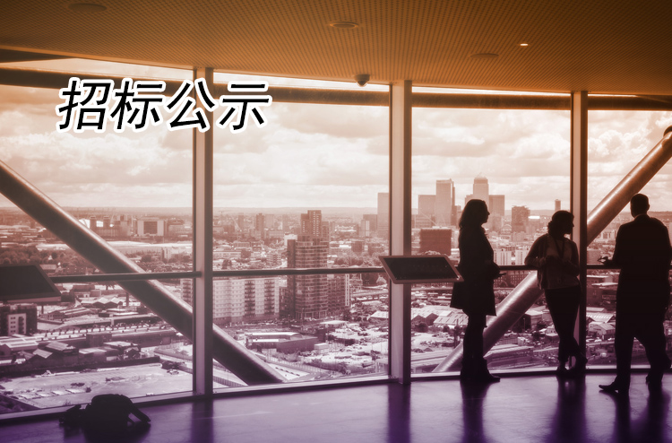 揚州全域旅游有限公司零星維修改造工程成交結果公告